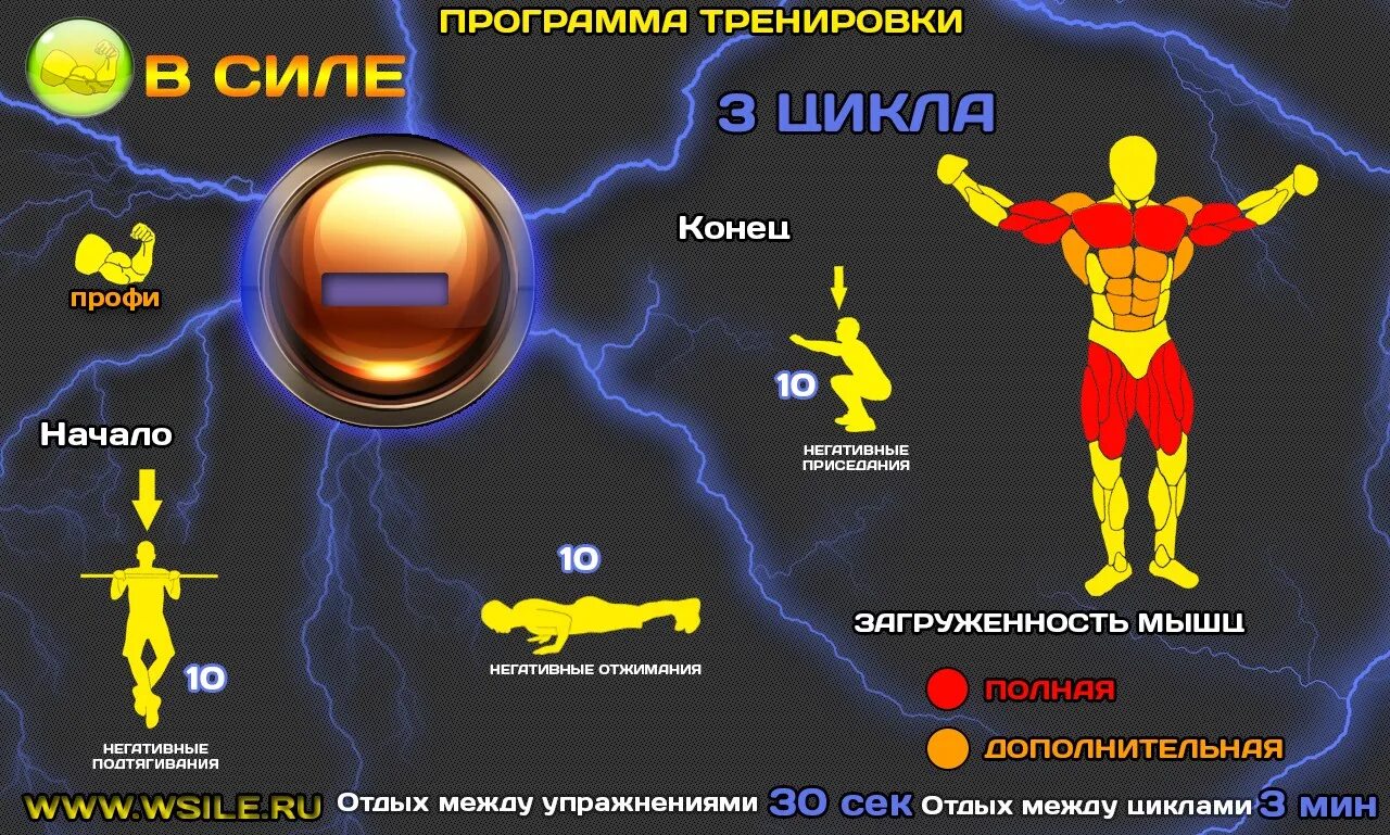 Программа тренировок. Тренировочная программа. Тренировка на силу. Программа тренировок на силу.