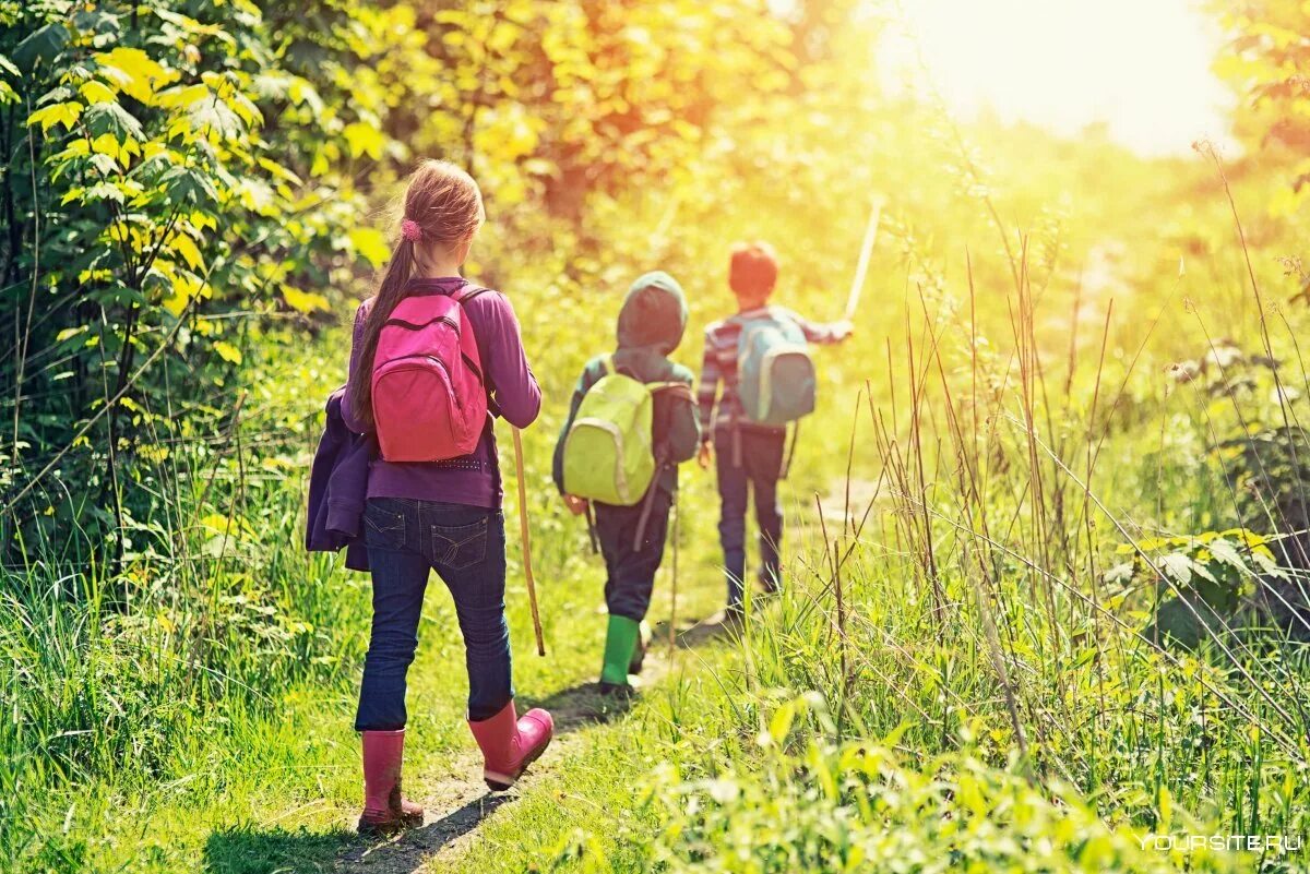 Natural fun. Прогулки на свежем воздухе. Прогулки на свежем воздкх. Прогулка в лесу. Прогулки в лесу с детьми.