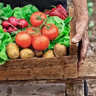 Farmer vegetables