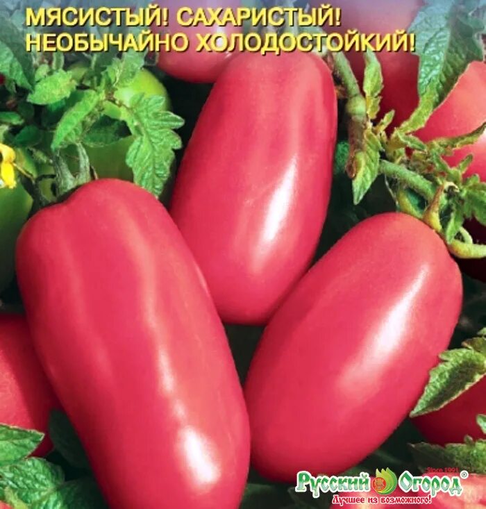 Перцевидный малиновый. Томат московский перцевидный кольчугино семена. Томат кенигсберг малиновый. Сорт помидор перцевидные малиновый. Томат сорт перцевидный розовый.