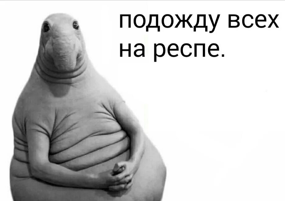 Ждун отдел продаж. Клиент ждет. Клиент ждет. Закажи рекламу у нас. Смешные покупатели.