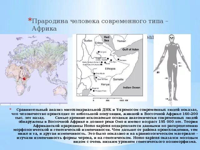 Африка является прародиной современного человека. Прародина человека. африка прародина человека. прародина человечества доказательства. прародина современного человека.