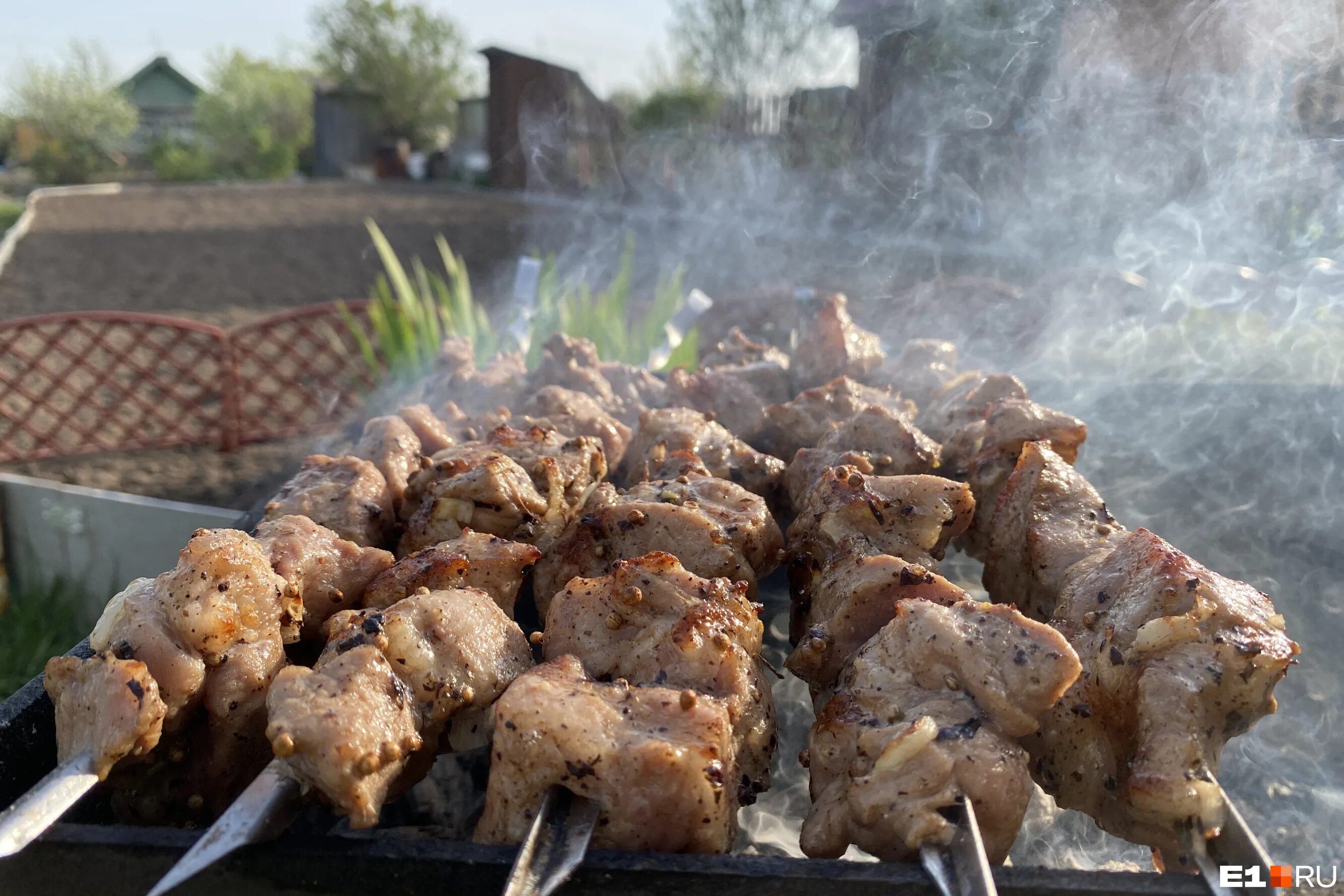 Шашлык в лесу. Шашлык на мангале. Можно ли жарить шашлыки 2023. Можно ли жарить шашлыки 2023. Шашлык во дворе.