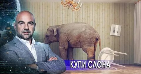 Как устроить мир с тимофеем баженовым