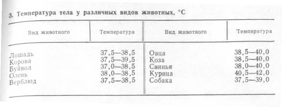 Температура тела кур. Частота пульса у КРС В норме. Частота сердечных сокращений норма у животных. Температура пульс дыхание животных в норме. Физиологические показатели животных таблица.