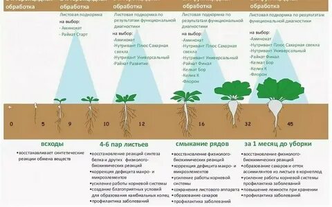 Через сколько после посадки