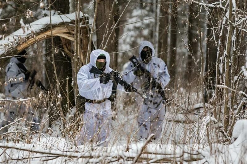 Сбежавшие разведчики. Разведчики в лесу. Военная разведка в лесу. Войска разведки в лесу. Разведчики зимой в лесу.