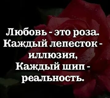 Она не любит розы
