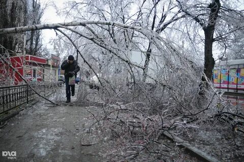 Последствия ледяного дождя