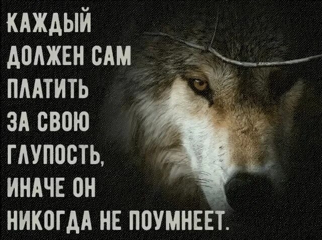 Прямые и косвенные налоги. Вещи ручной работы высказывания. Фото заплати себе сам. Каждый человек сам. Оплачу сам.