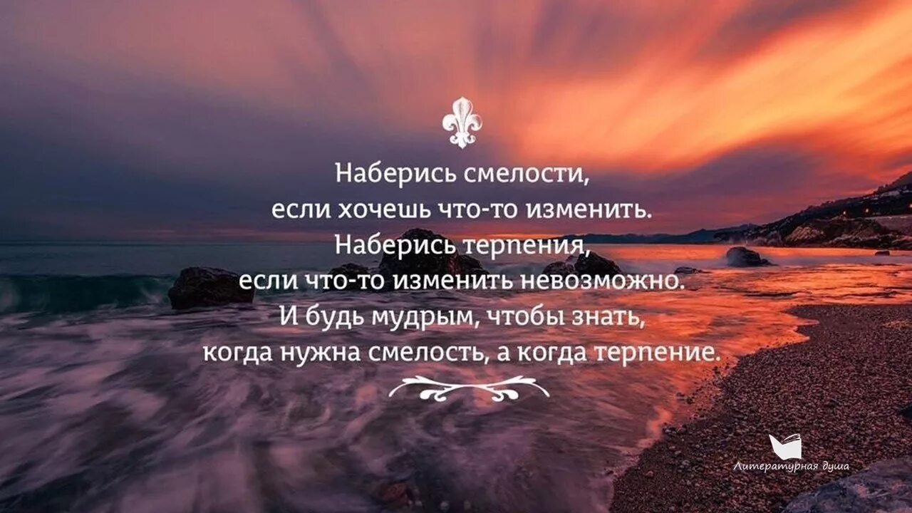 Терпеливый и понимающий. Красивые фразы. Цитаты про терпение и выдержку. Терпение цитаты. Высказывания про терпение.