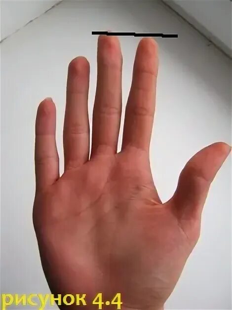 Безымянный палец длиннее мужчины. Безымянный палец длиннее указательного. Длинный указательный палец. Указательный палец безымянный палец. Руки указательный палец длиннее.