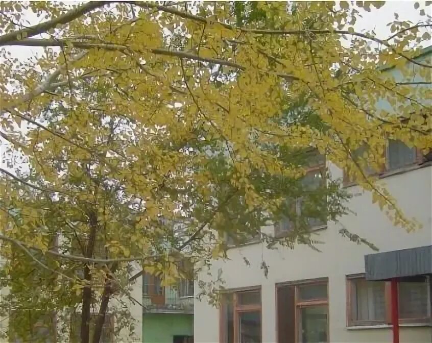 Детский сад 30 снежинск. Центр развития волгоград дзержинский район. Детский клуб "школа бенуа". Центр развития ребенка дзержинский. Центр развития ребенка дзержинский.