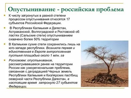 Опустынивание последствия