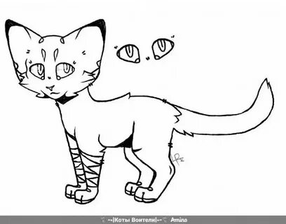Раскраска коты воители