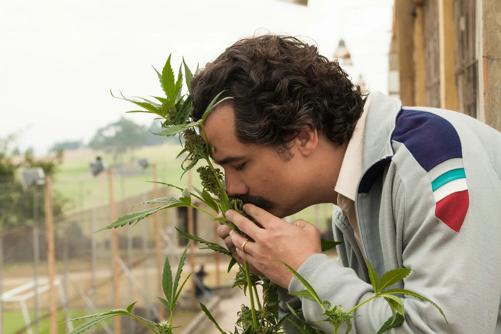 Пабло эскобар гавирия. Пабло эскобар narcos. Пабло эскобар состояние денег. Пабло эскобар. Пабло эскобар 1920x1080.