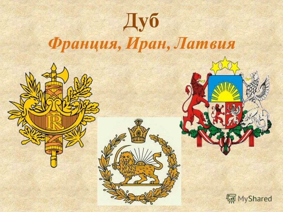 Растения на гербах стран мира. Гербы стран мира. Гербы стран на которых изображены растения. Гербы стран на которых изображены растения. Гербы стран на которых изображены растения.