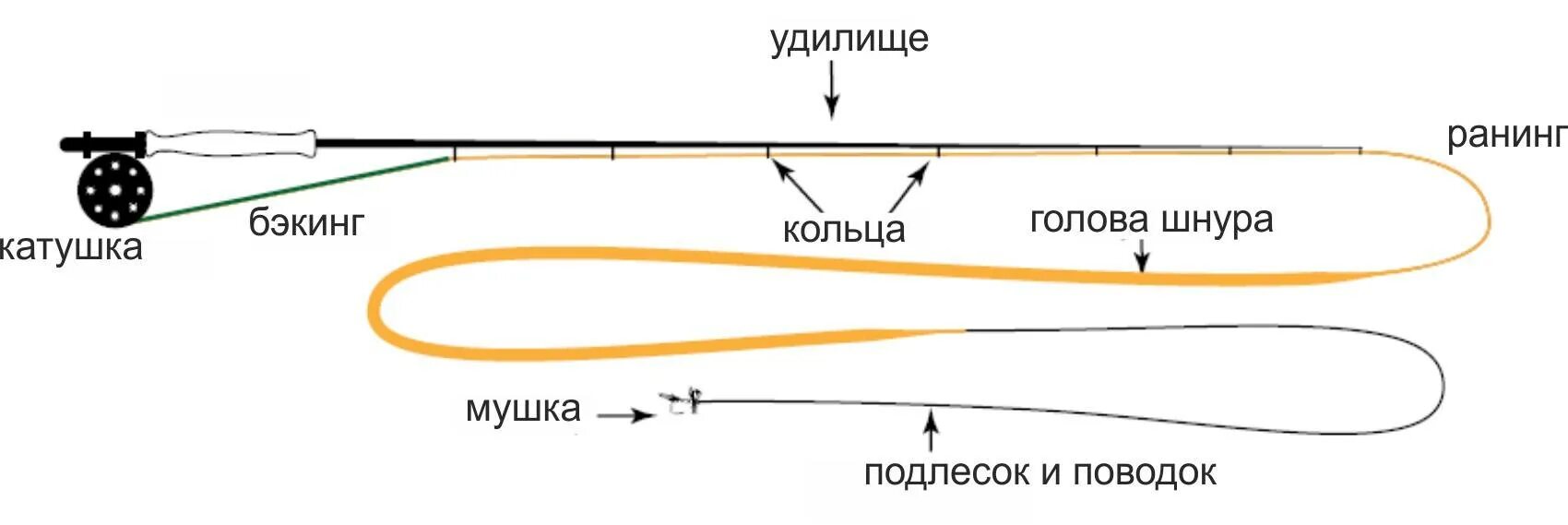 Ловля на концы. Нахлыст оснастка схема. Ловля нахлыстом для начинающих снасти. Нахлыст схема снасти. Схема сборки нахлыстовой снасти.