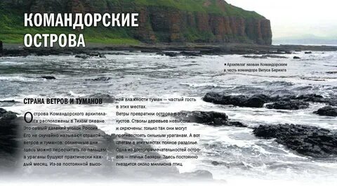 В честь какого мореплавателя названы командорские острова