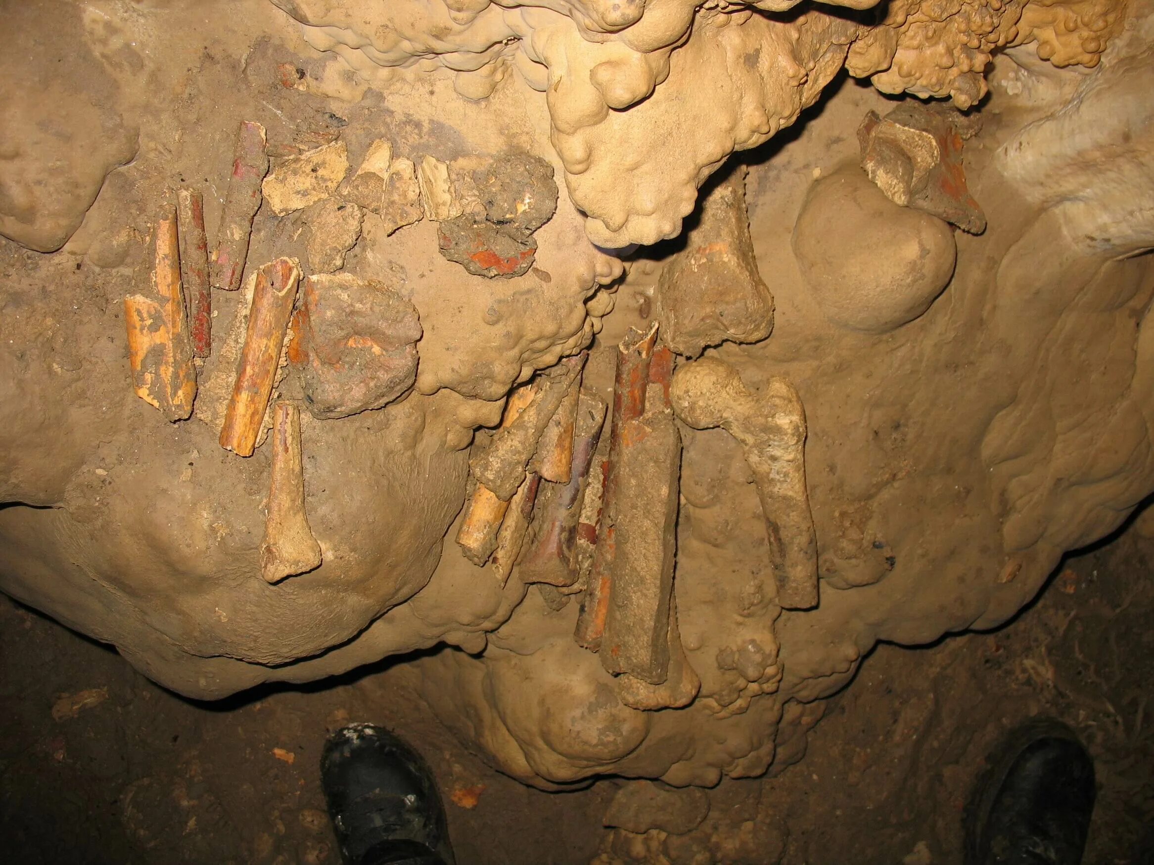 Включи кота пещеру. Айдашинская пещера Ачинск. Кошачья пещера Краснодарский край. Удивительные находки в пещерах.