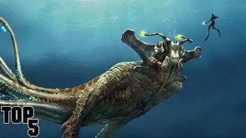 Император море
