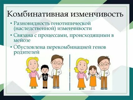 Комбинация изменчивость