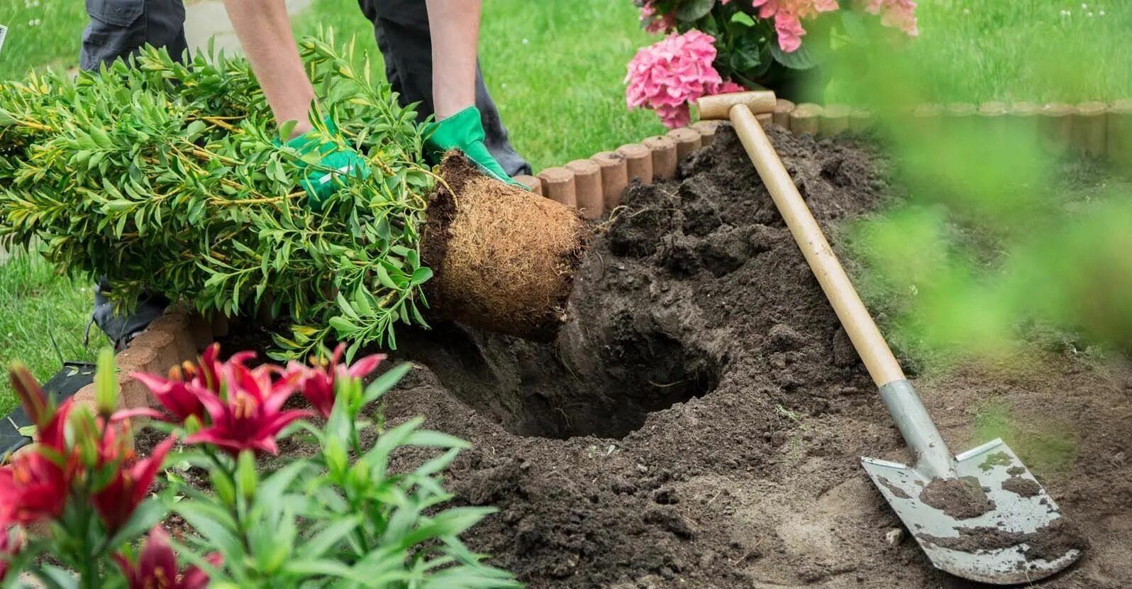 Digging holes. Садовник Озеленение. Посадка деревьев и кустарников. Услуги садовника. Осенняя посадка деревьев.