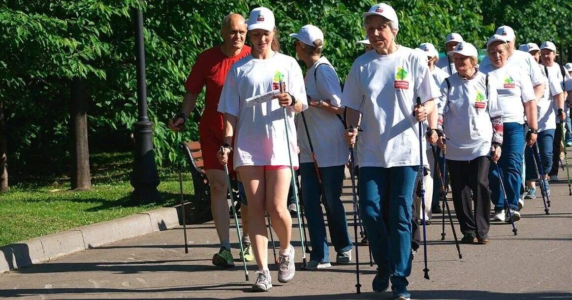 Скандинавская ходьба измайловский парк. Скандинавская ходьба московское долголетие. Скандинавская ходьба московская. Скандинавская ходьба в парке. Северная ходьба.