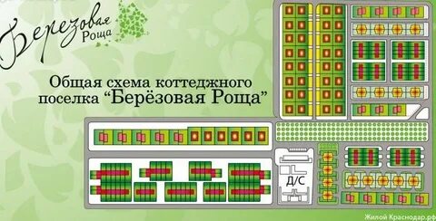 Кп березовая роща