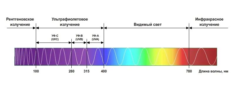 Свет в 5 часов