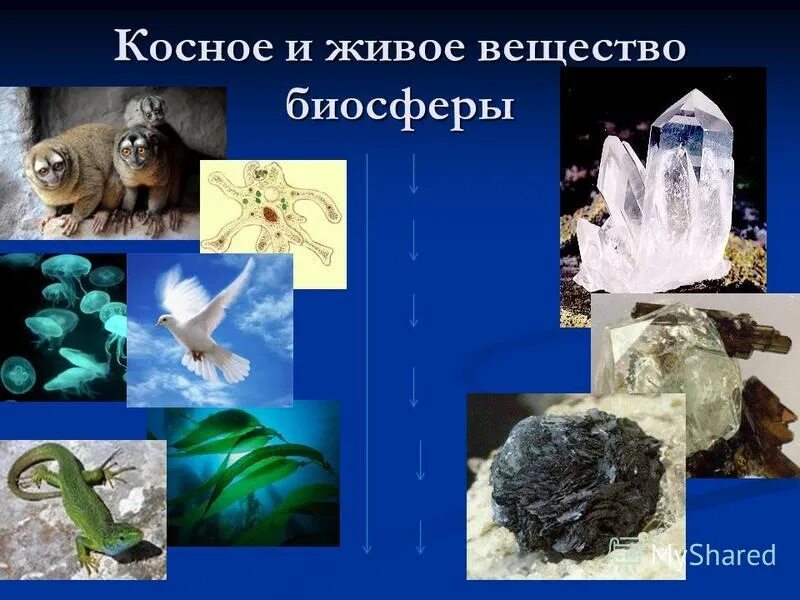 вернадский косное вещество. глина косное. вещества в биосфере косное живое биогенное. косное вещество вещества биосферы в создании. косвенное вещество.