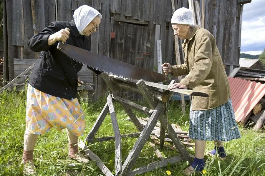 Можно ли в сельских