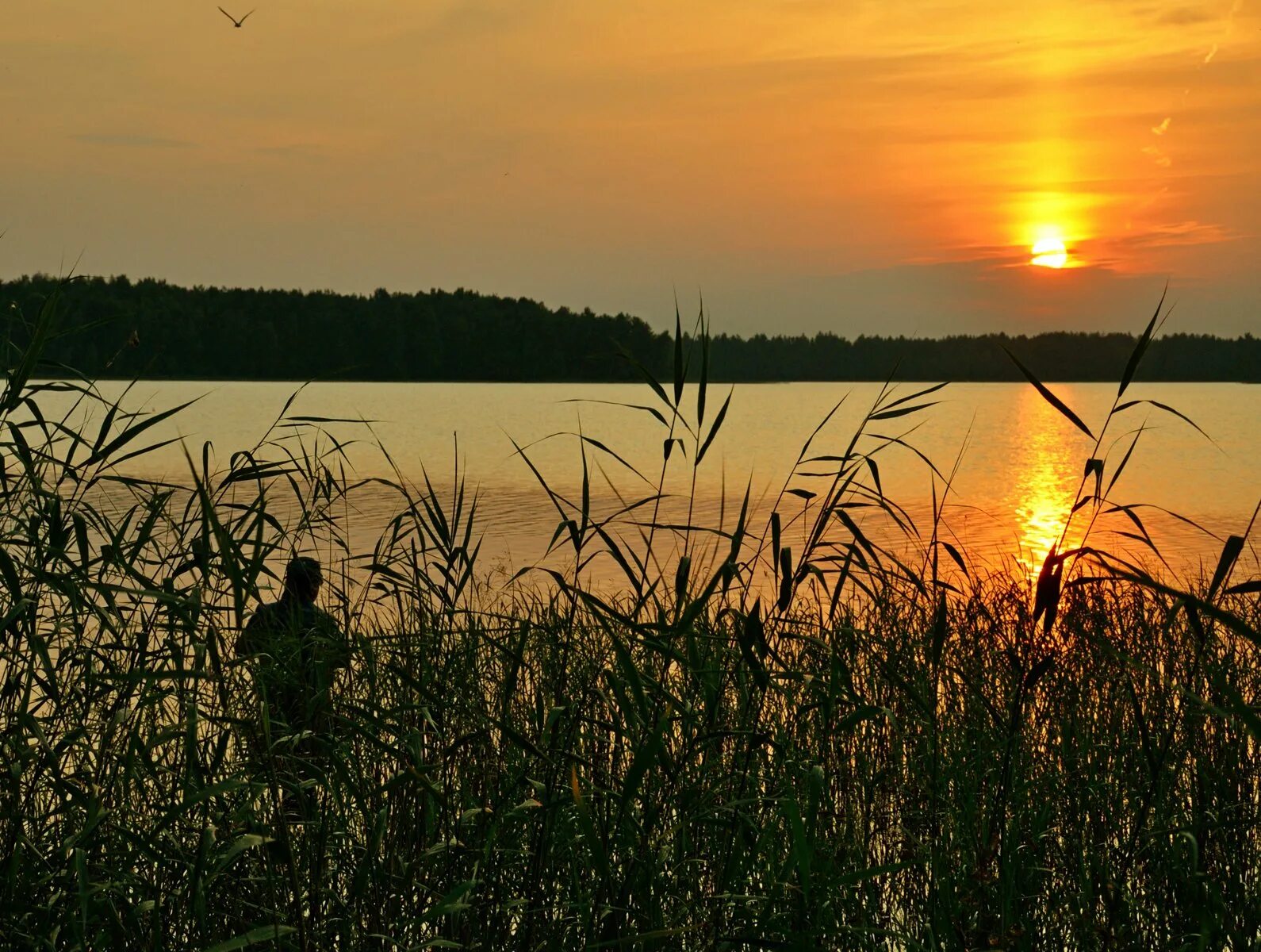 День зорька. Озеро Кафтино. Озеро вечерняя Зорька. Зорька на озере. Вечерняя природа.