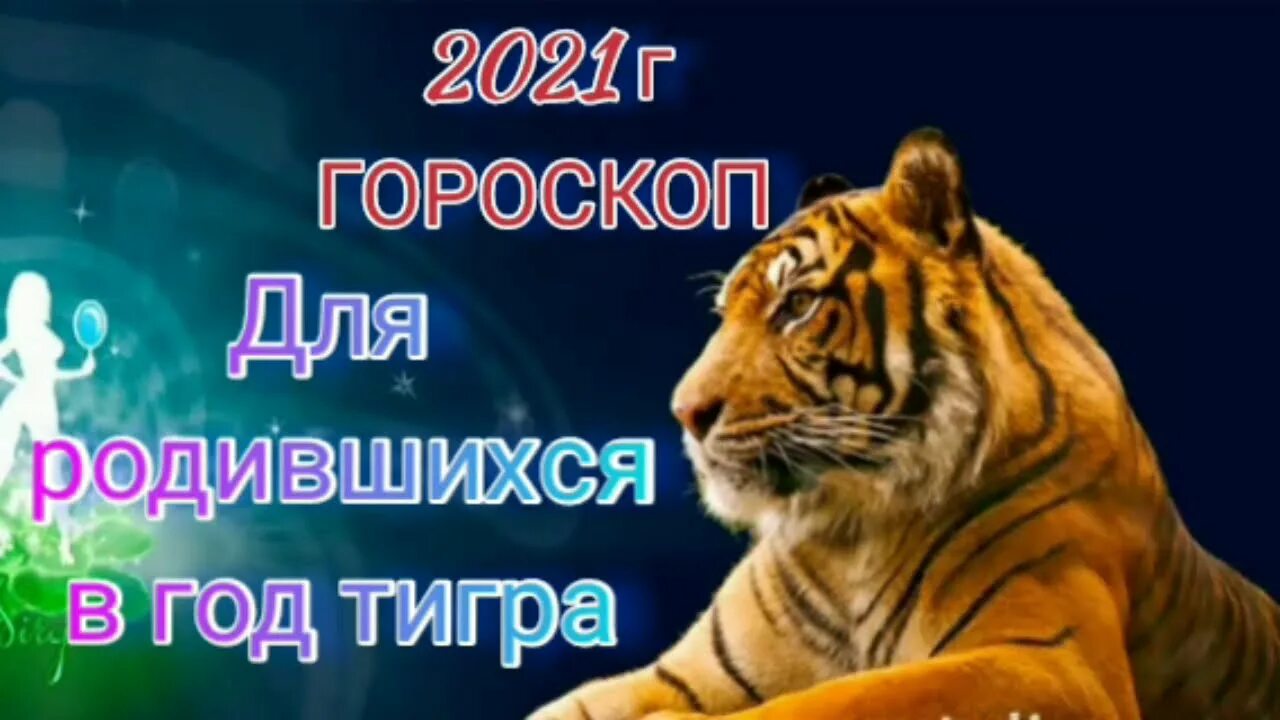 Стрелец тигр 2024