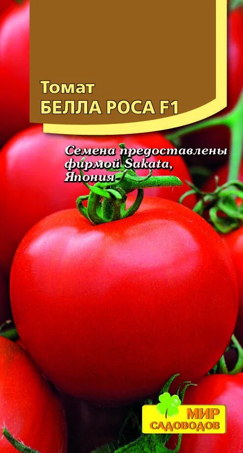 Белые росы томат. Белые росы томат. Томат боцман f1. Томат бэлла роса. Томат бэлла роса f1.