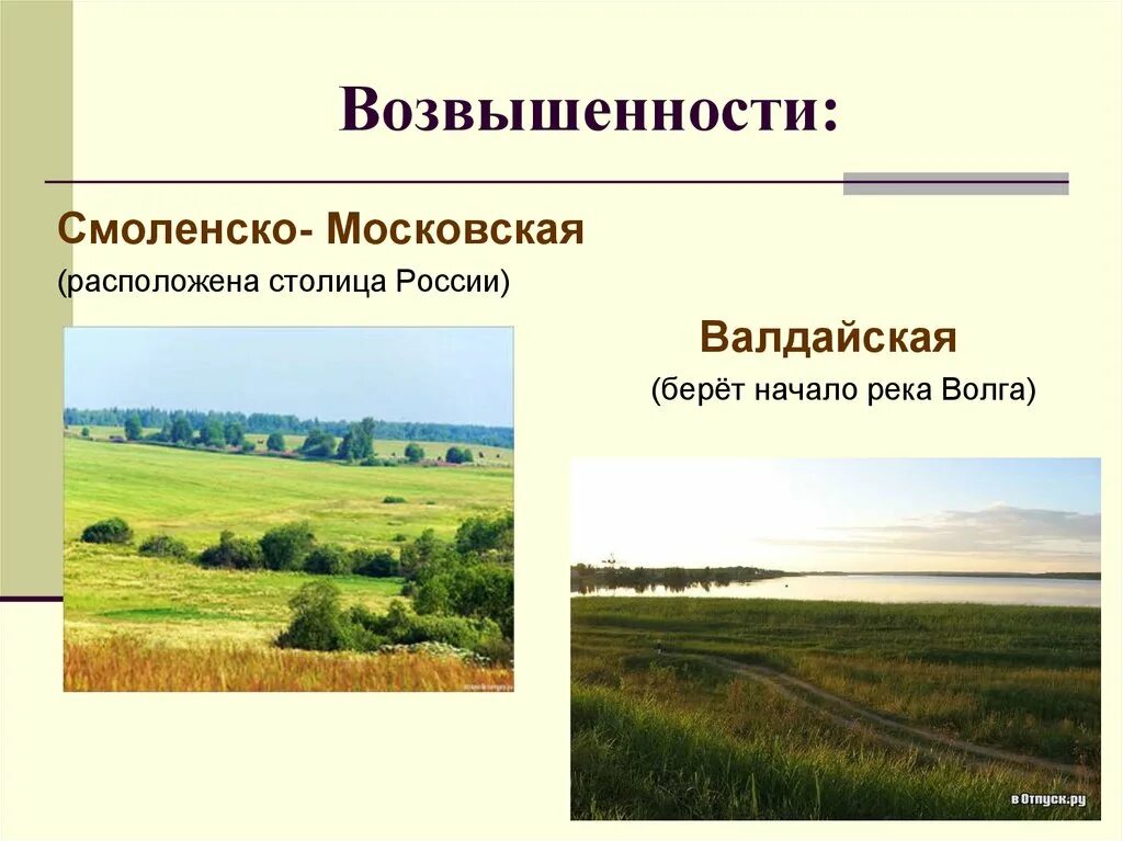 Все возвышенности россии. Смоленско Московская возвышенность абсолютная высота. Смоленская Московская возвышенность. Валдайская и Смоленско Московская возвышенность. Смоленско-Московская возвышенность рельеф.