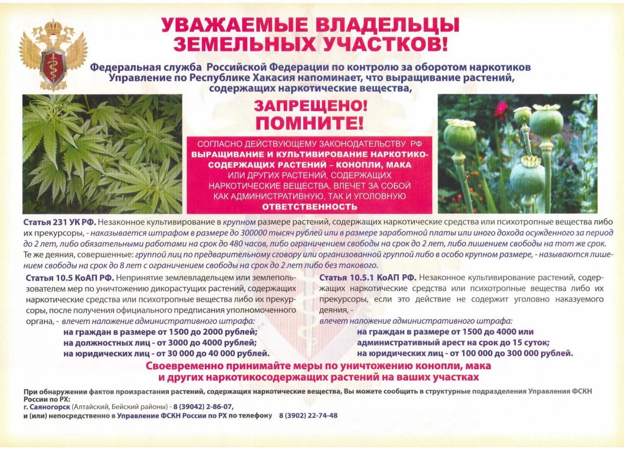 Цветы запрещенные к выращиванию в 2025 году
