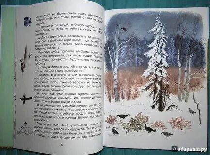 Зима обрядила сосны