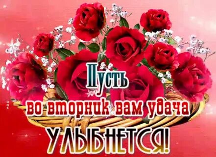 Картинка вторник анимация