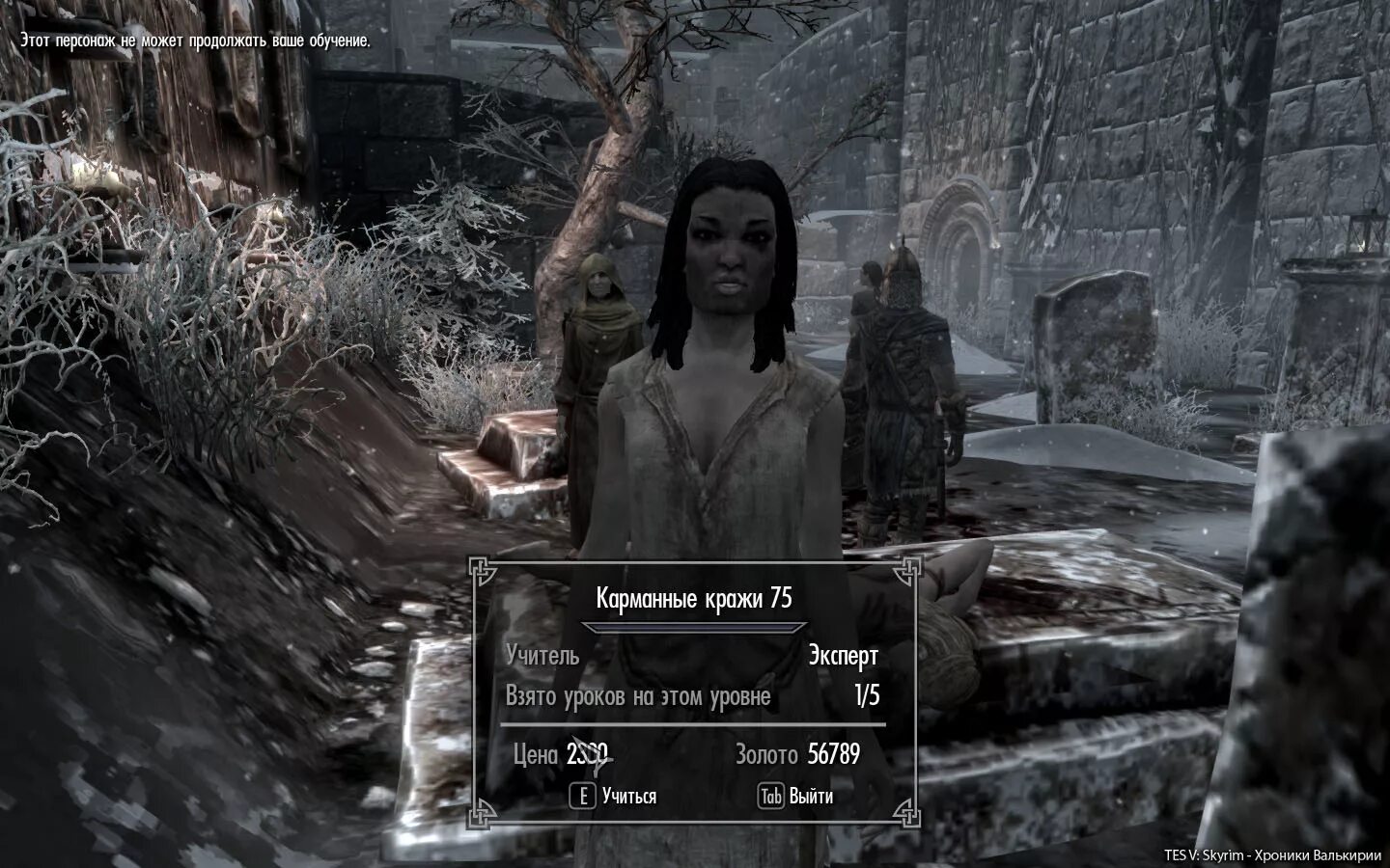 скайрим навык 100 скрытности. карманные кражи 100 скайрим. скайрим кража 100. карманные кражи 100 скайрим. Skyrim lockpicking 100.