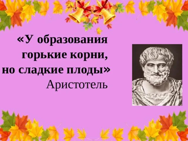 Корни образования горькие но плоды сладкие