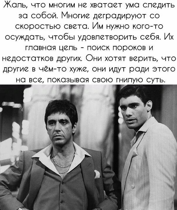 Храбрость не продлит мне жизнь а трусость. Пустые карманы никогда не помешают нам. Жаль что многим не хватает ума следить за собой. Клянусь Аллахом трусость не. Клянусь Аллахом трусость не продлит мне жизнь а храбрость.