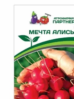 Редис мечта