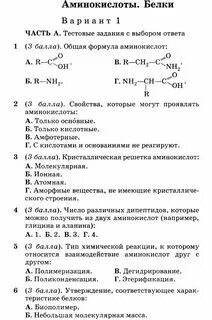 Тесты белки химия