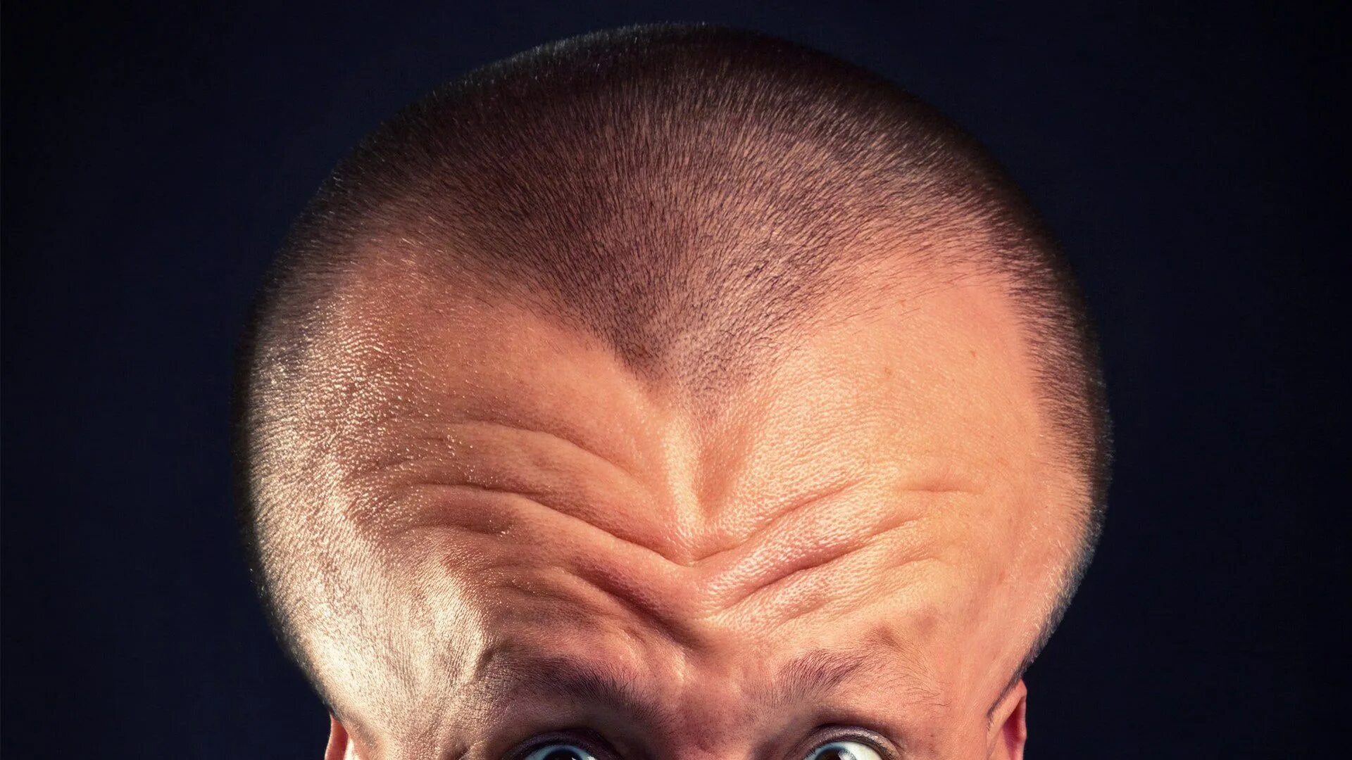 Big headed. Фейдол рея муравей. Big-headed person. Bighead мем. Big-headed person.