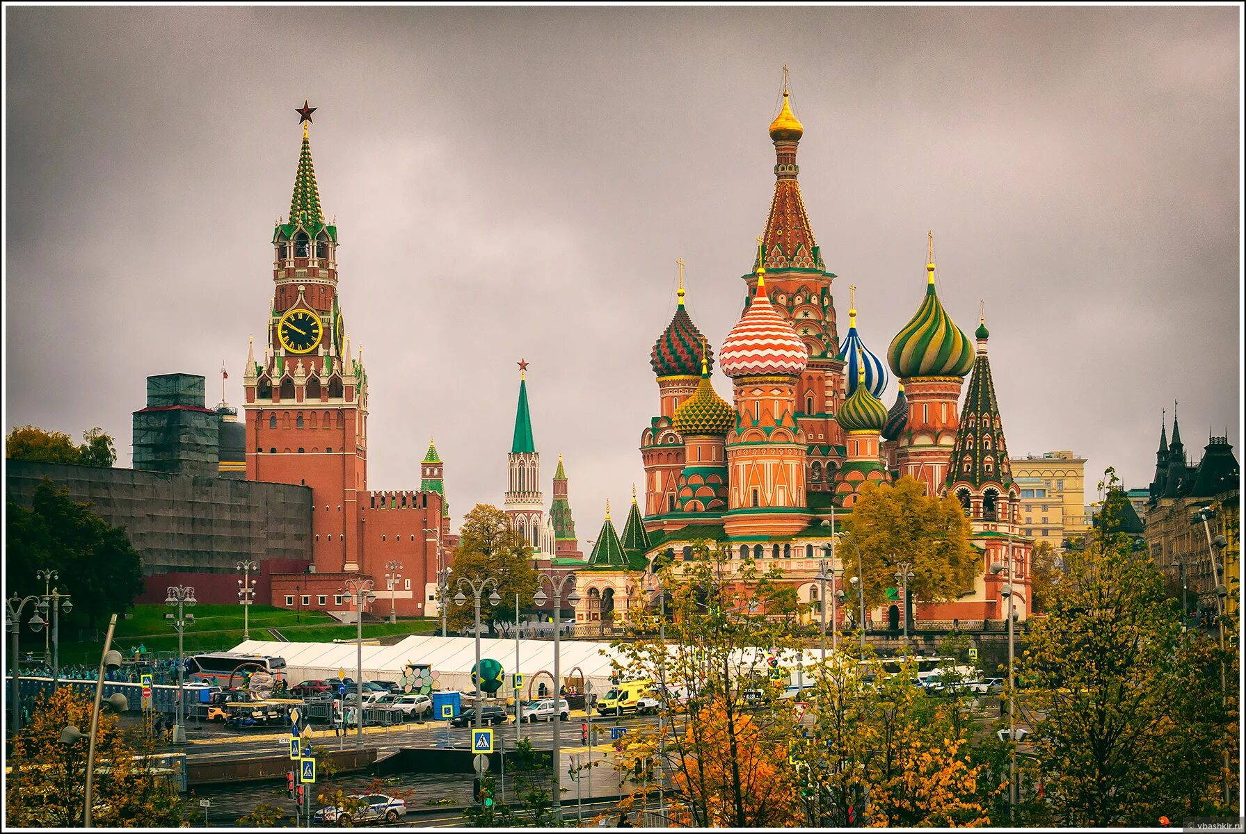Разнообразие москве