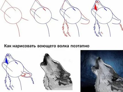 Как нарисовать волка 2 класс