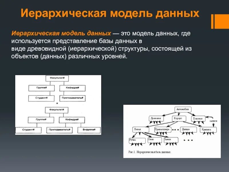 Логические модели данных иерархическая модель данных. Иерархическая база данных. модели данных иерархическая модель. иерархическая структура данных. иерархическая структурная модель.