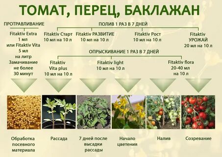 Подкормка для перцев в теплице