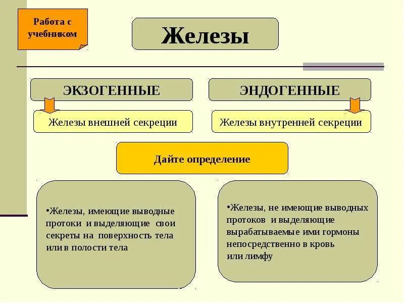 Выбери железы внешней секреции. Железы внешней и внутренней секреции экзогенные. внутренняя и внешняя секреция желёз. железы внешней секреции это биология 8 класс. железы внутренней секреции и внешней секреции и смешанной секреции.